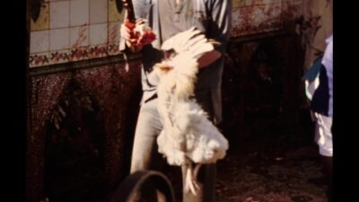 Nepal 1970s, People cutting chicken during daytime