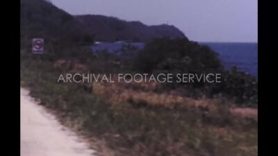 Mexico 1970s, Daytime view of ocean beside trees