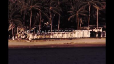Mexico 1970s, Sea beach area with palm trees