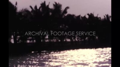 Mexico 1970s, Afternoon view of river beside trees