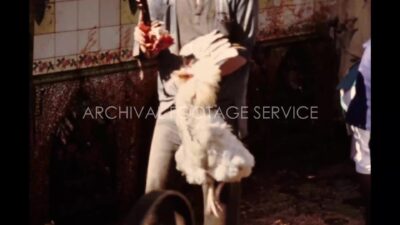 Nepal 1970s, People cutting chicken during daytime