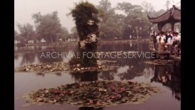 China 1980s, Daytime view of Lily flowers in water
